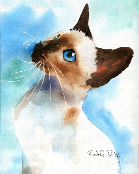 479x600 Ragdoll Siamese Cat Art Print Of My Watercolor Ragdoll Large Big