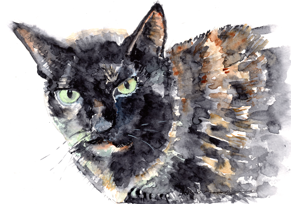 1000x704 Tortie Cat Watercolor Painting