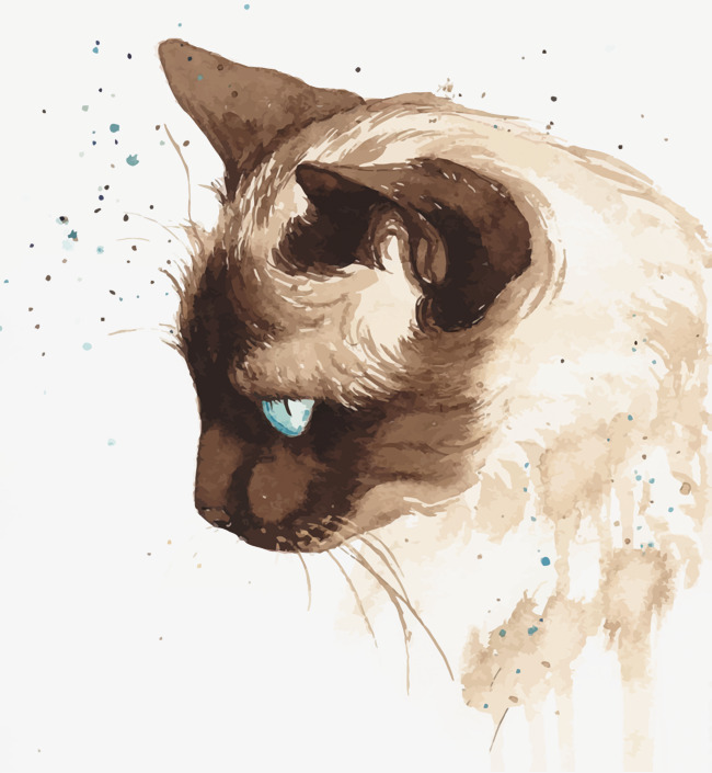 650x705 Vector Watercolor Cat, Watercolor, Hand Painted, Cat Png And