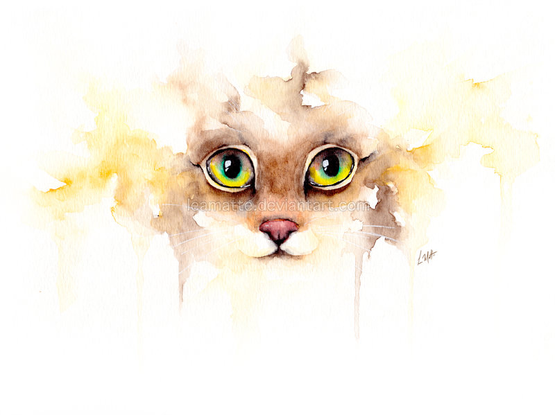 800x599 Watercolor Cat By Leamatte