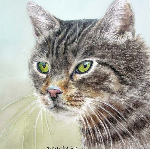 510x506 Cat Paintings In Watercolor, Cats, Kittens,