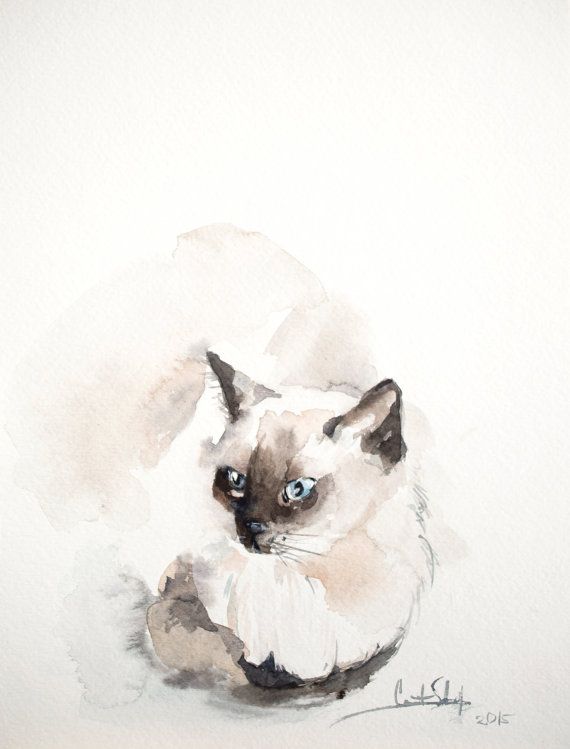 570x749 Cat Watercolor Painting Original Watercolor Painting By Canotstop