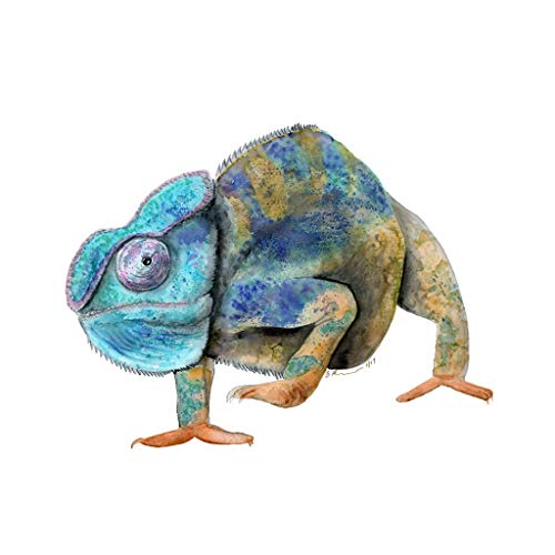 Watercolor Chameleon at GetDrawings | Free download