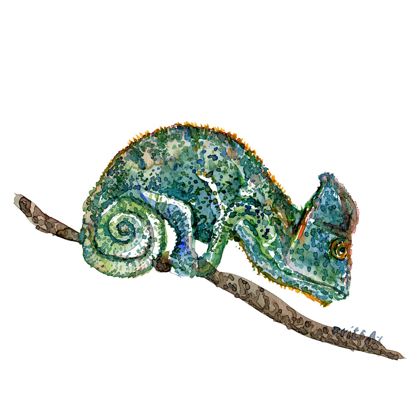 1400x1400 Chameleon Watercolor Sketch Frits Ahlefeldt