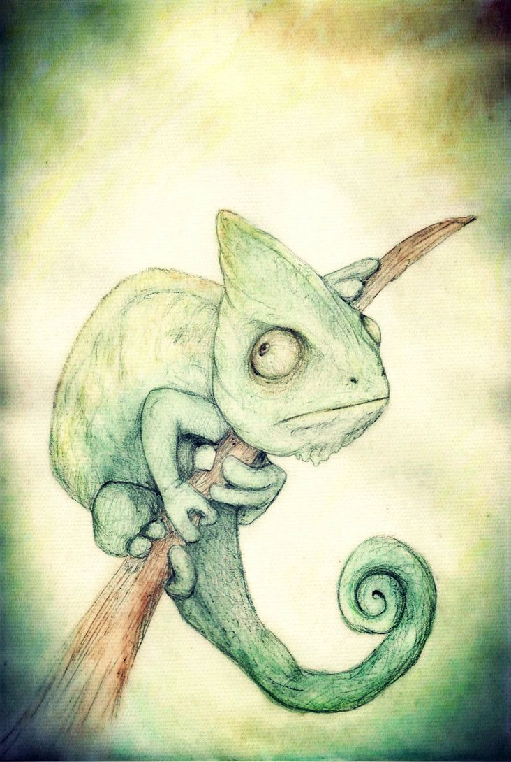 732x1090 Chameleon Watercolour By ~friendermen Art