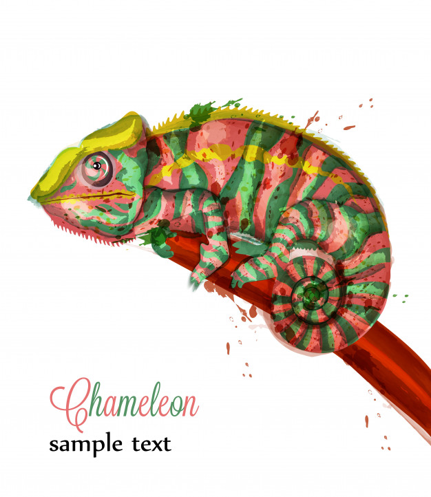 626x722 Chameleon Watercolor Illustration Vector Premium Download
