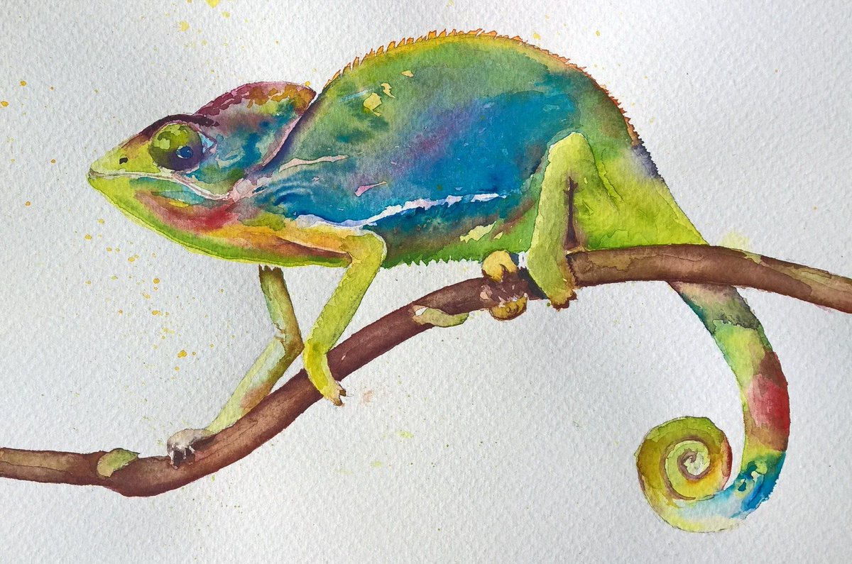 1200x795 George Grayland On Twitter Chameleon Watercolour From A Photo By