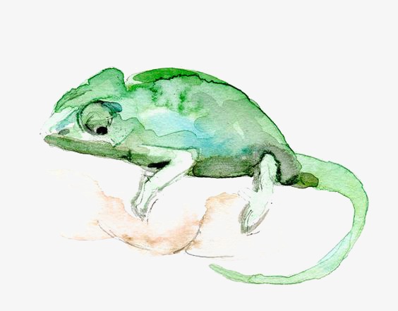 564x441 Watercolor Chameleon, Watercolor Clipart, Chameleon, Animal Png