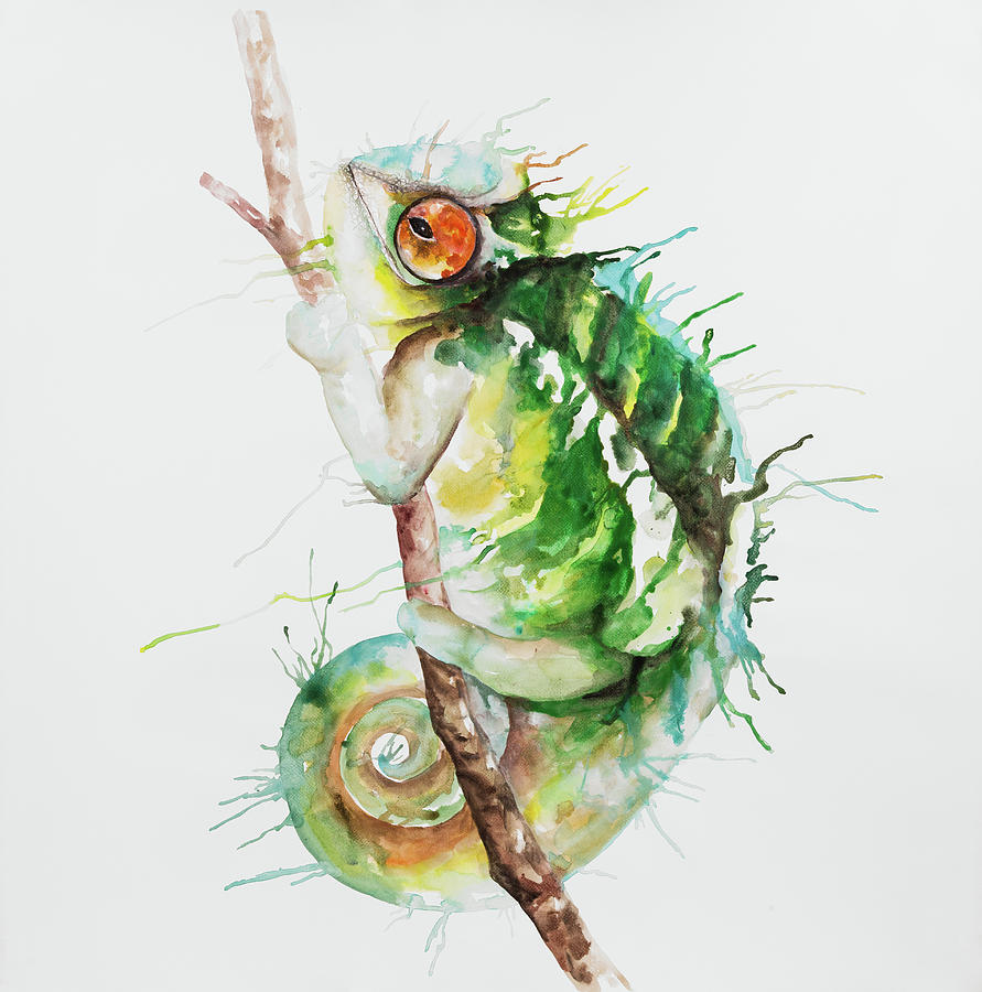 891x900 Watercolor Chameleon Painting By Atelier B Art Studio