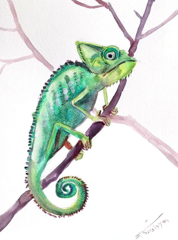 570x769 Chameleon, Original Watercolor Painting, 12 X 9 In Watercolor