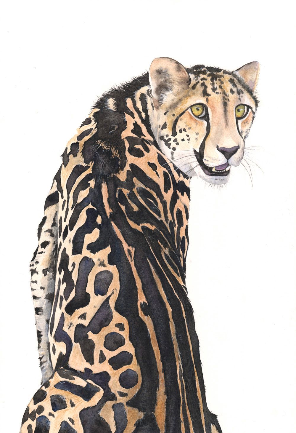 1000x1461 Cheetah Watercolor Painting Louise De Masi In 2018