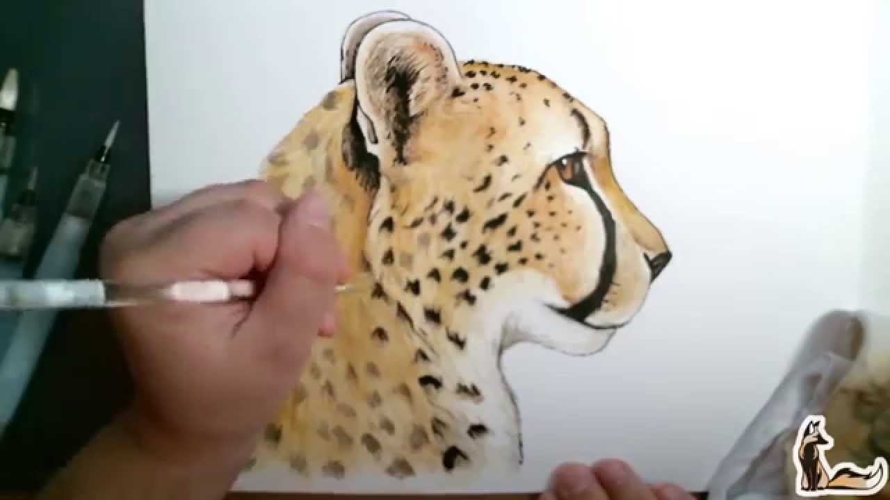 1280x720 Cheetah Watercolor Amp Ink Speed Paint