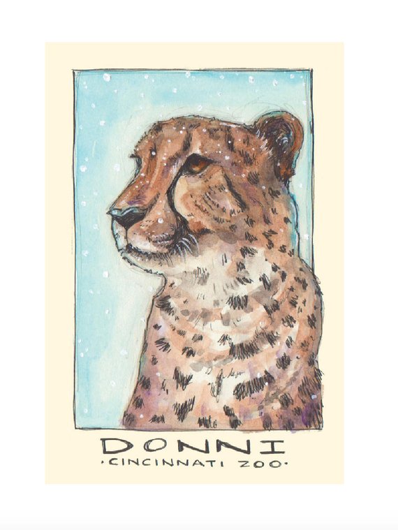570x759 Donni The Cheetah Watercolor Art Print Animals Zoo Etsy
