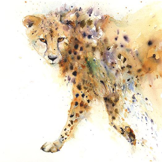 524x524 Prowling Cheetah Limited Edition Print