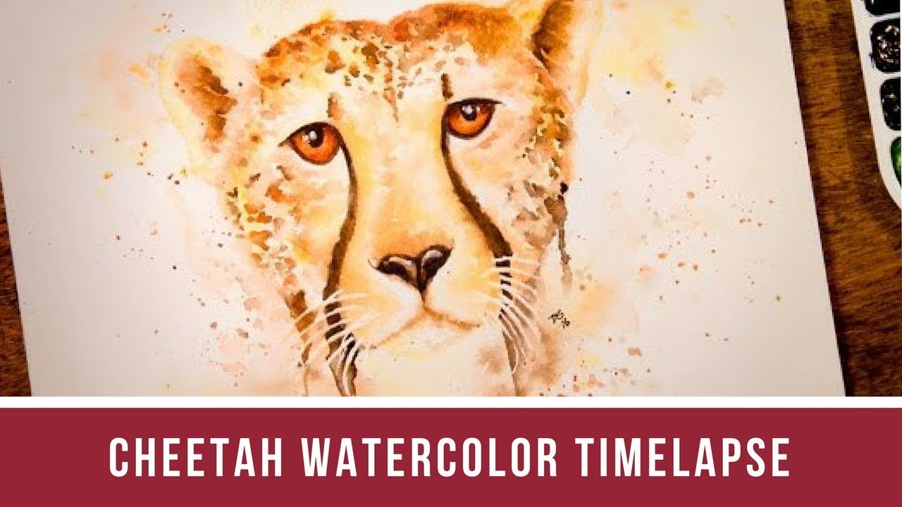 1280x720 Watercolor Cheetah Time Lapse Painting