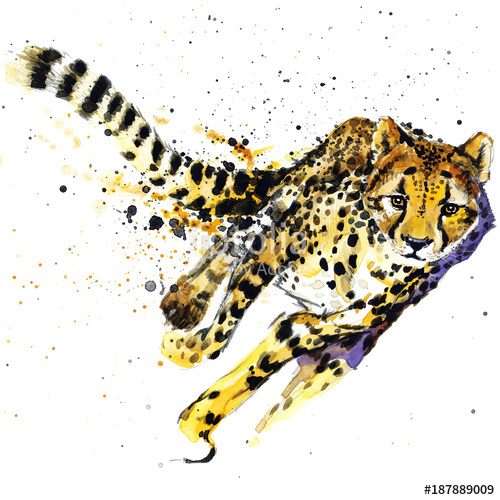 500x500 Cheetah Watercolor Illustration Stock Photo And Royalty Free