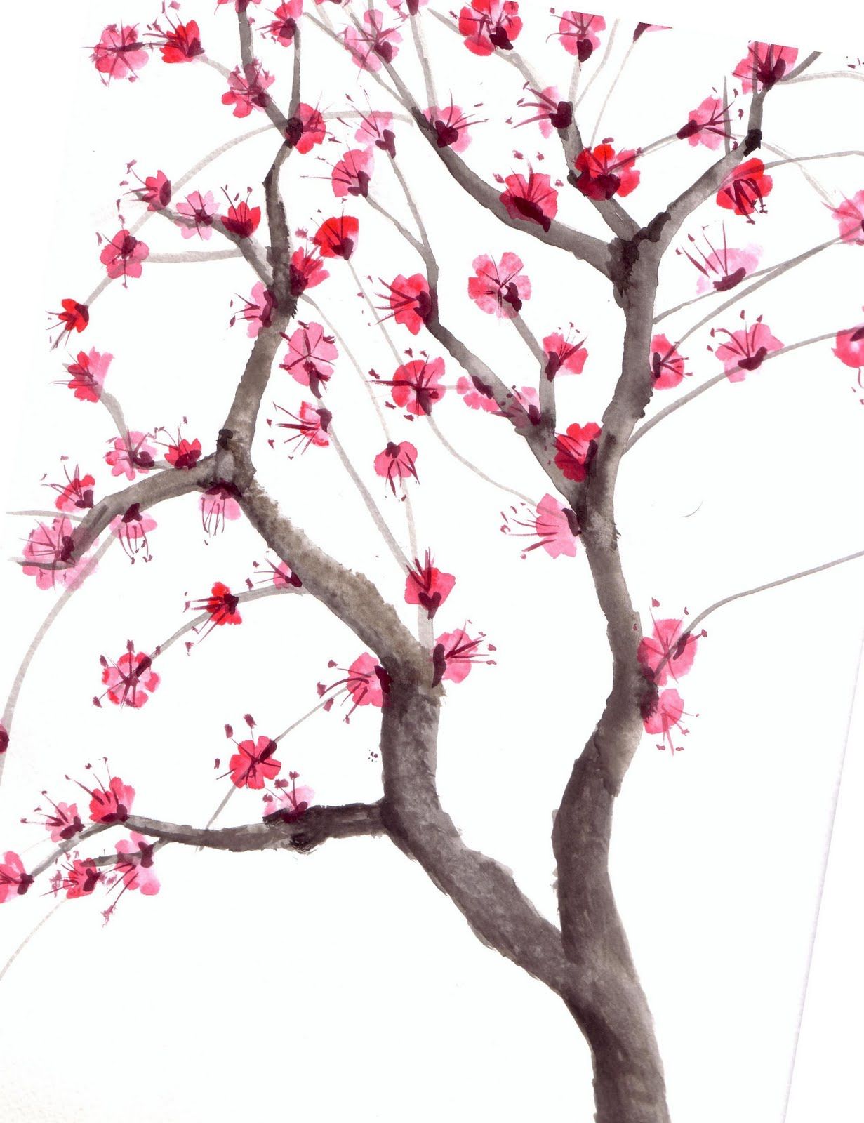 1231x1600 Cherry Blossom Tree Watercolor Art Graphic Design Amp Photography