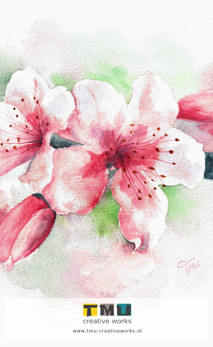 735x1200 Cherry Blossoms [Watercolor] Tmu Creative Works Art By Tanja