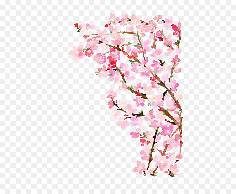 900x740 Paper Cherry Blossom Watercolor Painting