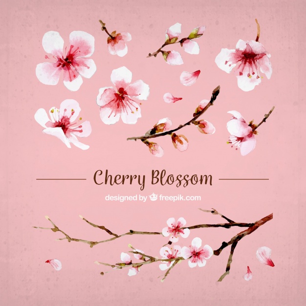 626x626 Set Of Cherry Blossoms And Watercolor Branch Vector Free Download