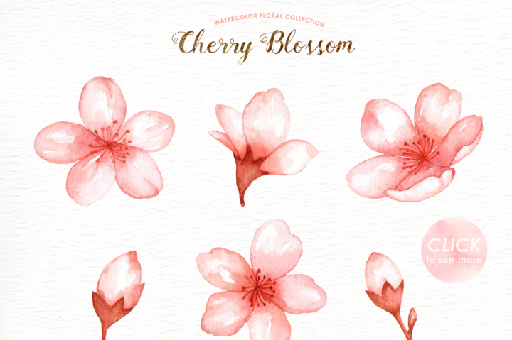 720x479 Cherry Blossom Watercolor Clip Art By Everysunsun
