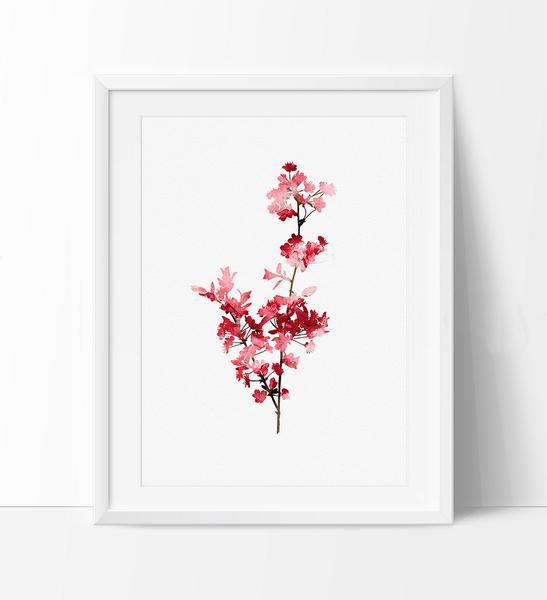 547x600 Cherry Blossom Watercolor Painting, Cherryblossom Art Print , Tree