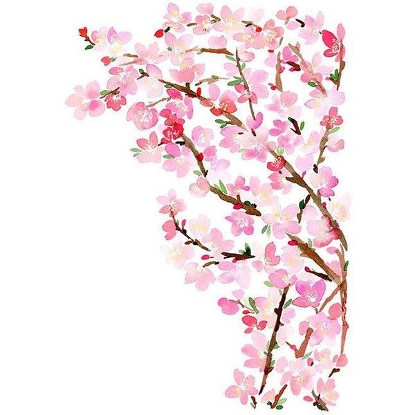600x600 Cherry Blossoms Watercolor Art Print Liked On Polyvore