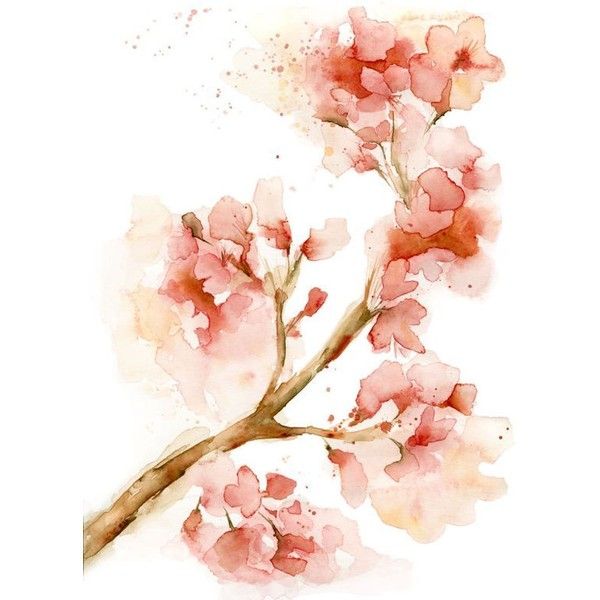 600x600 Watercolor Cherry Blossom Print Of My Watercolor Painting, By
