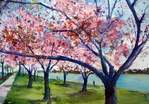 571x400 Cherry Blossoms Joe Cibere Watercolor Blog