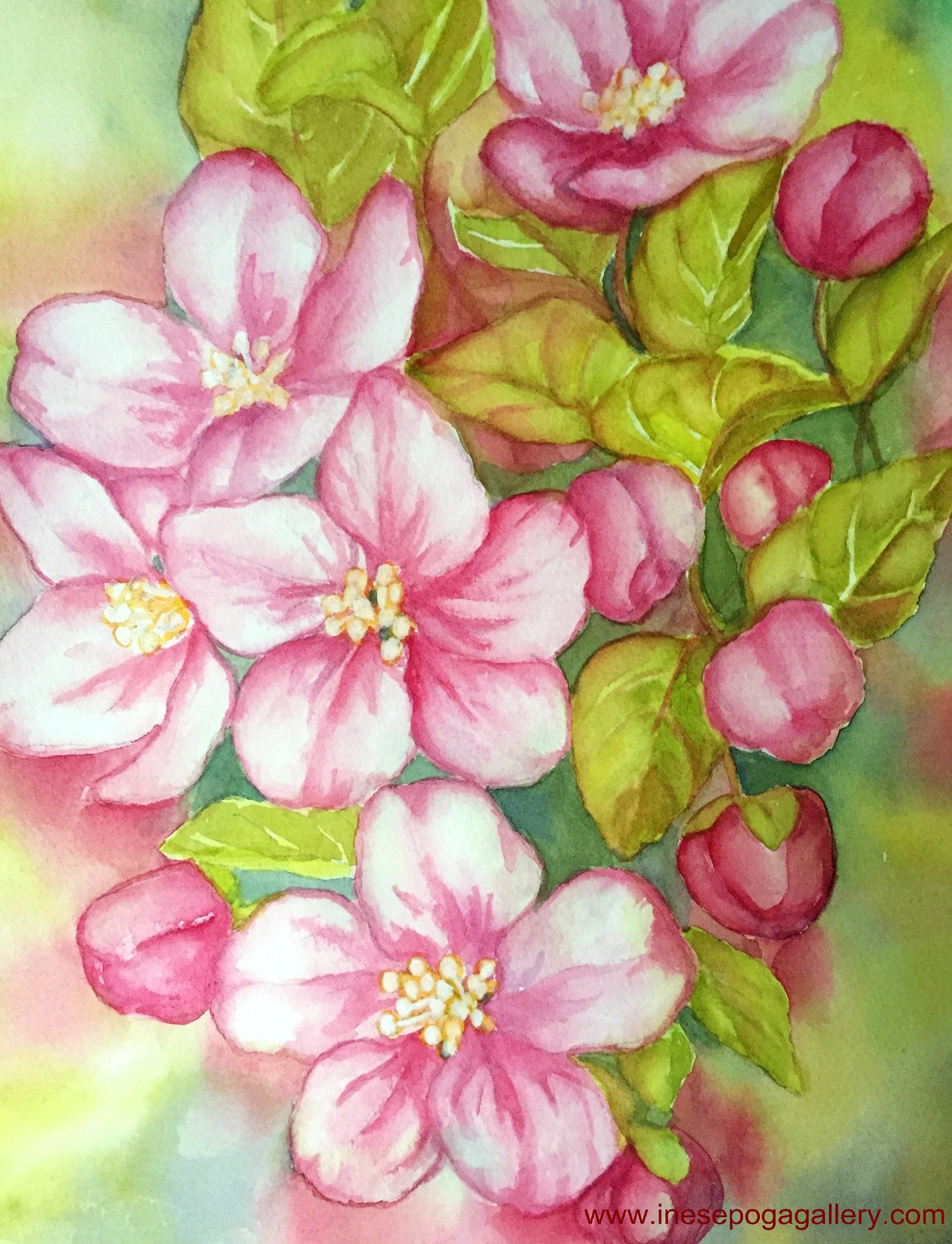 Cherry Blossom Watercolor Painting at GetDrawings | Free download