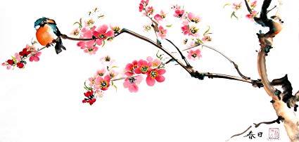 425x202 Peggy Duke Kingfisher On The Cherry Blossom Tree