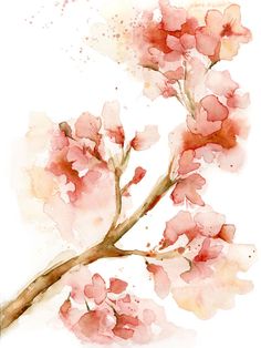 Cherry Tree Watercolor