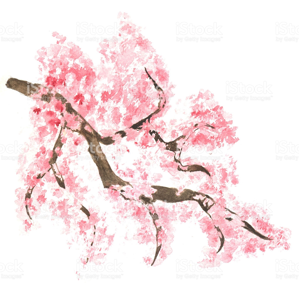 1024x1024 Drawn Sakura Blossom Watercolor
