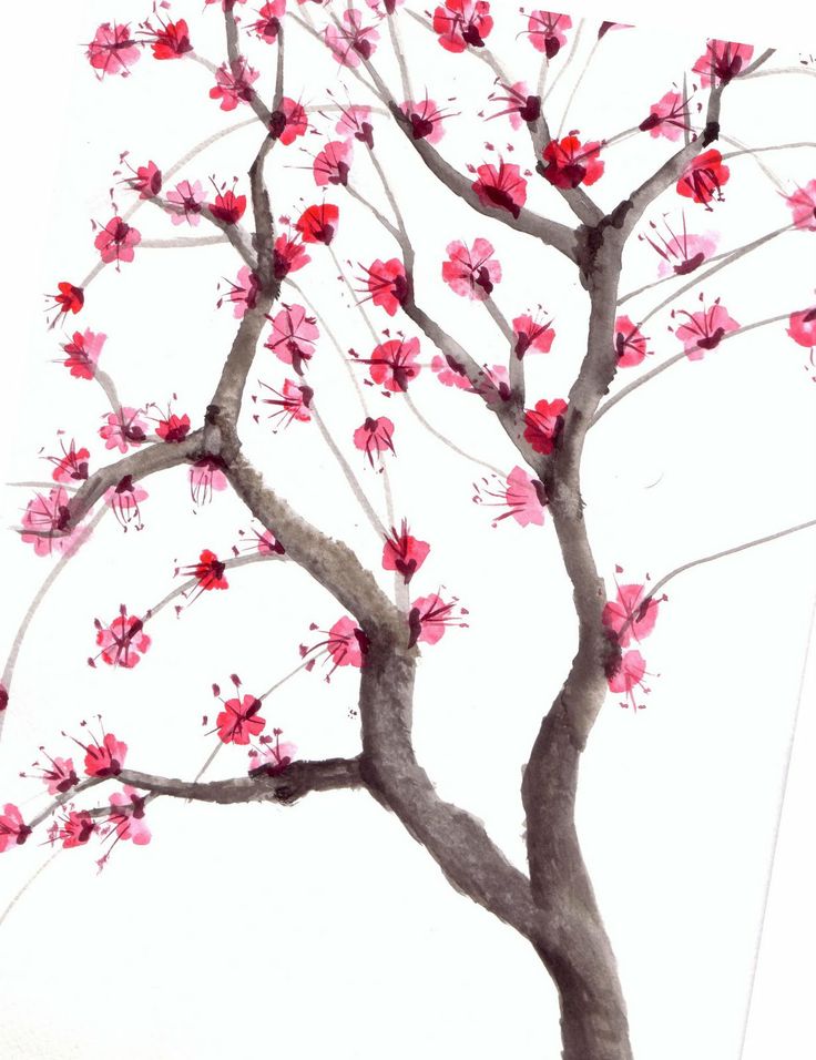736x956 Drawn Tree Cherry Blossom Tree