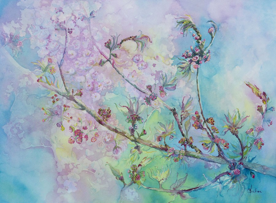 900x660 First Blossoms, Japanese Cherry Tree, Watercolour On Paper, Floral