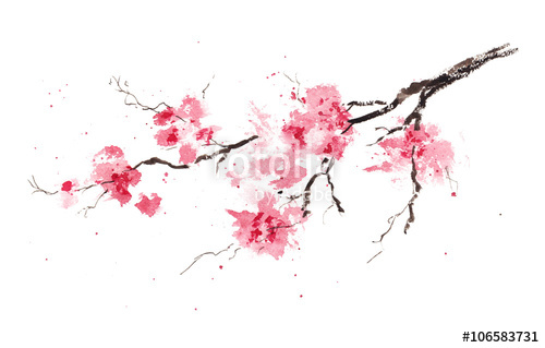 500x319 Sakura Branch. Original Watercolor Painting. Stock Photo And