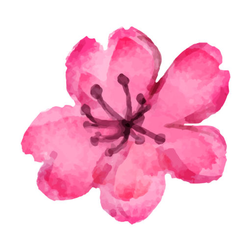 512x512 Watercolor Cherry Blossom Sticker Pack By Appbubbly