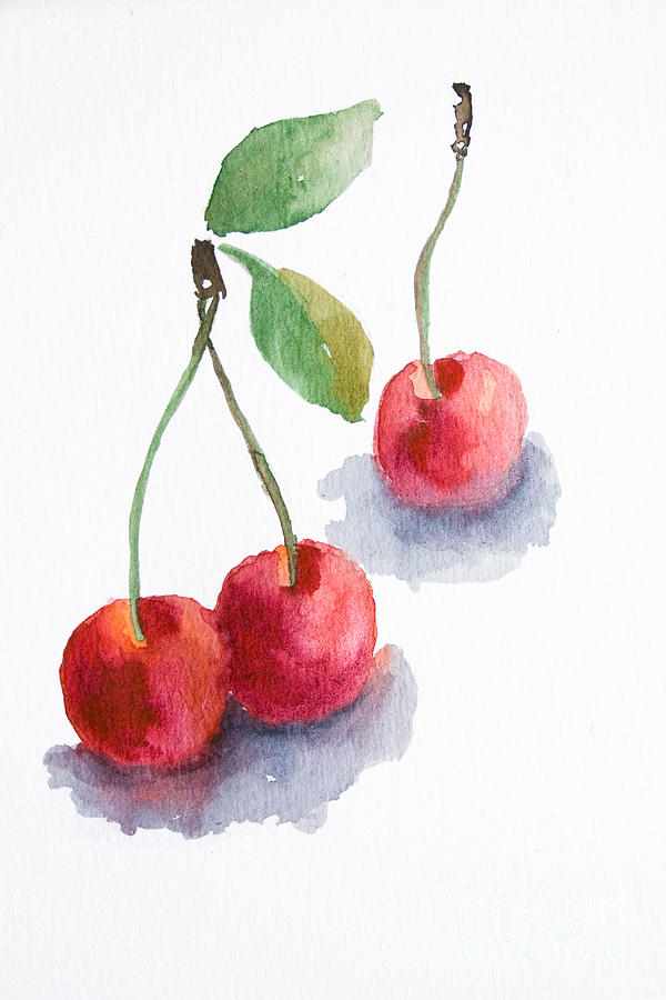 600x900 Watercolor Cherry Painting By Regina Jershova