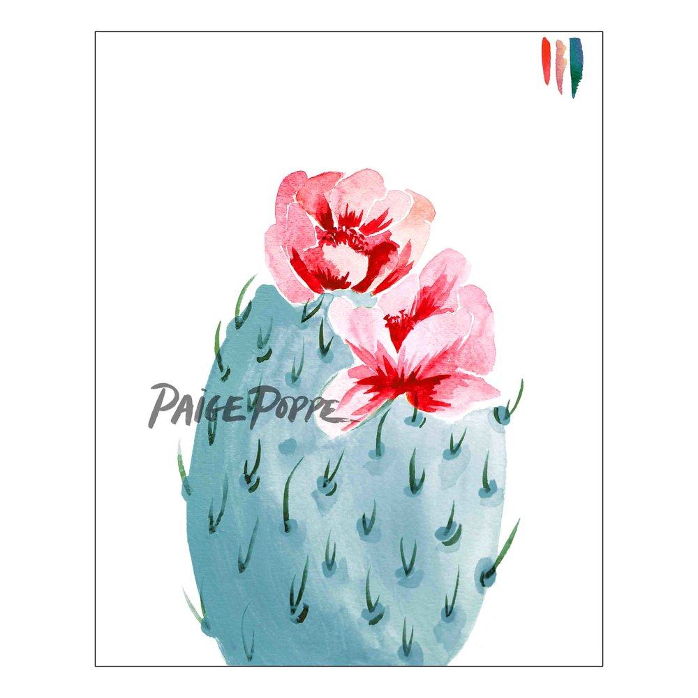 1000x1000 Cherry Bloom Prickly Pear Watercolor Print Paige Poppe