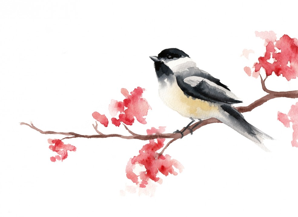 984x715 Chickadee Tracey Cameron Creative