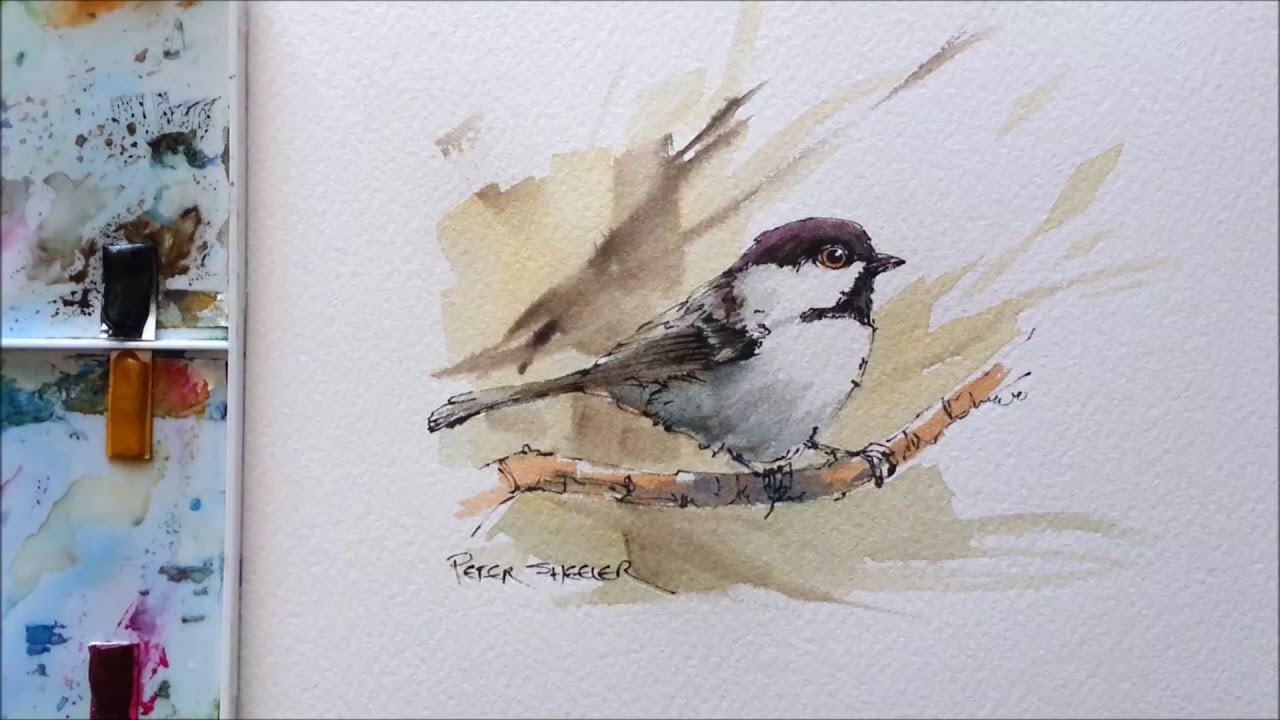 1280x720 Line And Wash Black Capped Chickadee. Great For Begginers In