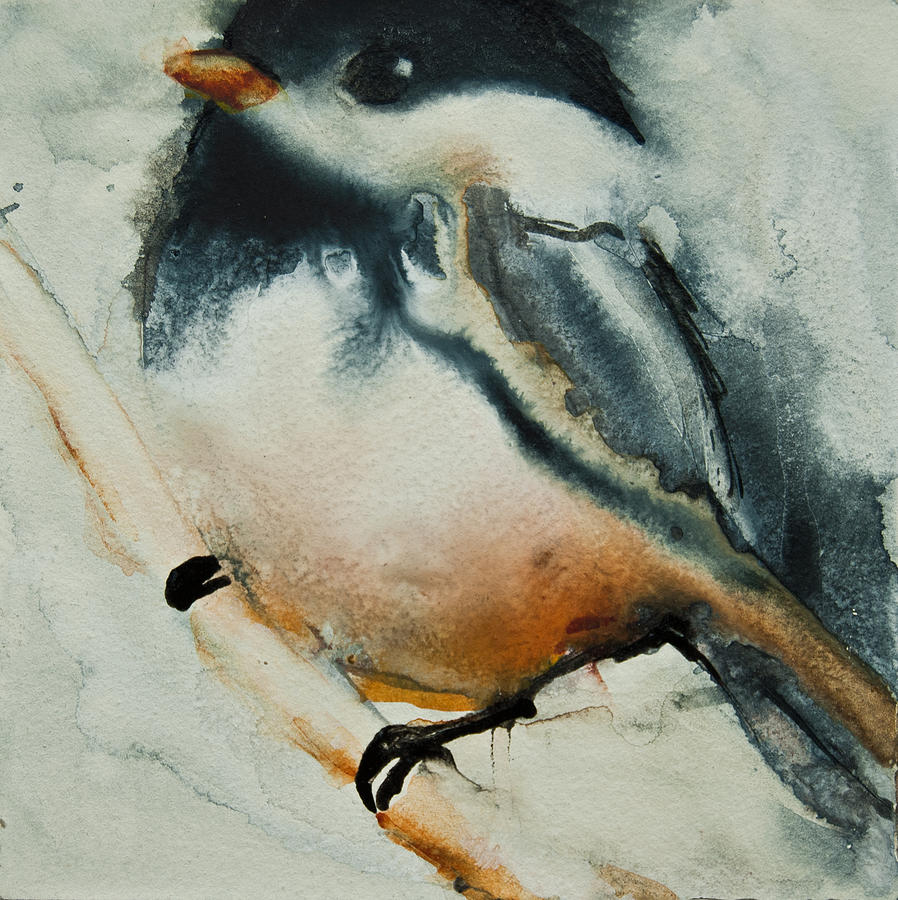 898x900 Watercolor Chickadee Painting By Jani Freimann
