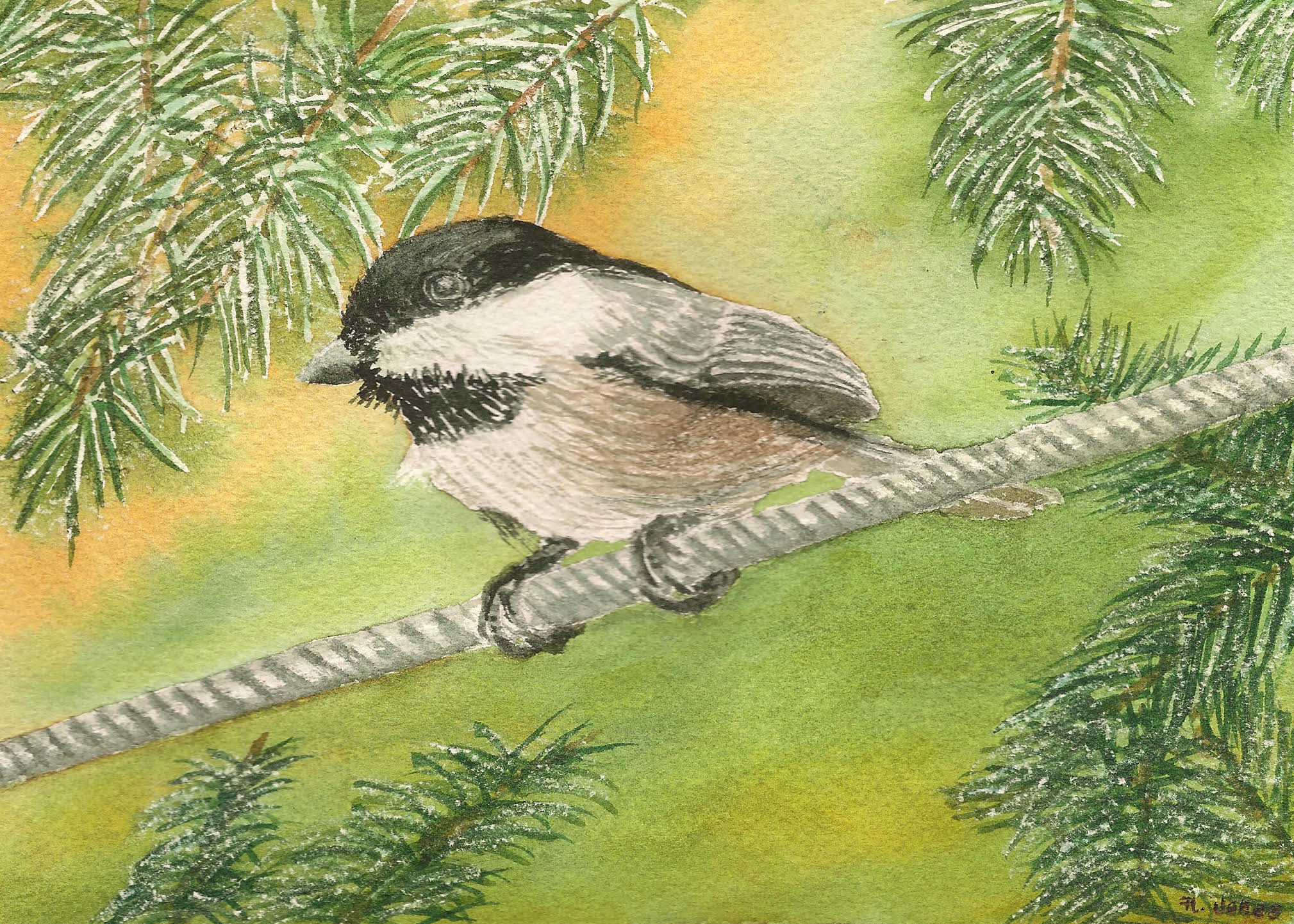 Chickadee Watercolor Painting at GetDrawings | Free download