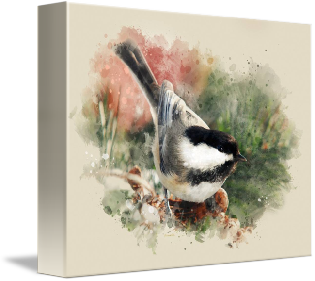 650x579 Chickadee Watercolor Painting By Christina Rollo