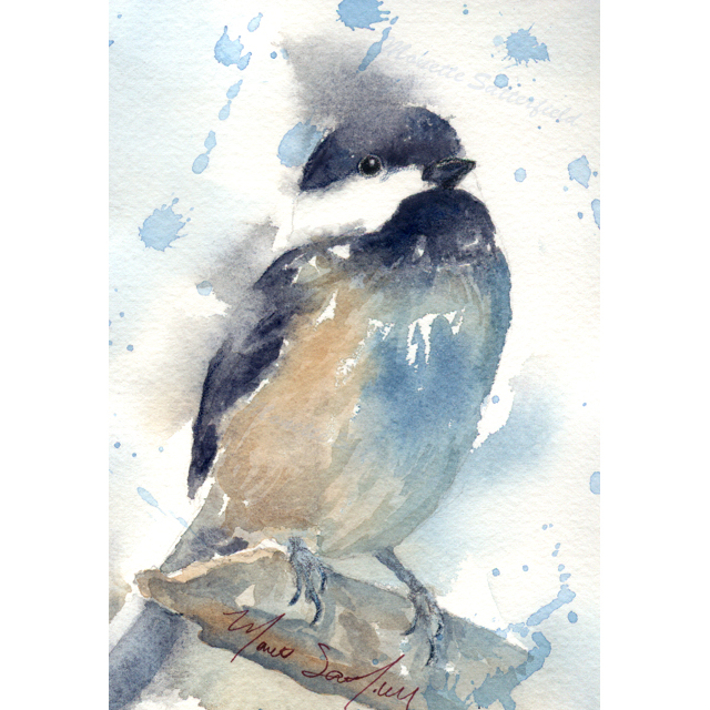 640x640 New Watercolor Bird Paintings Chickadee And Wren