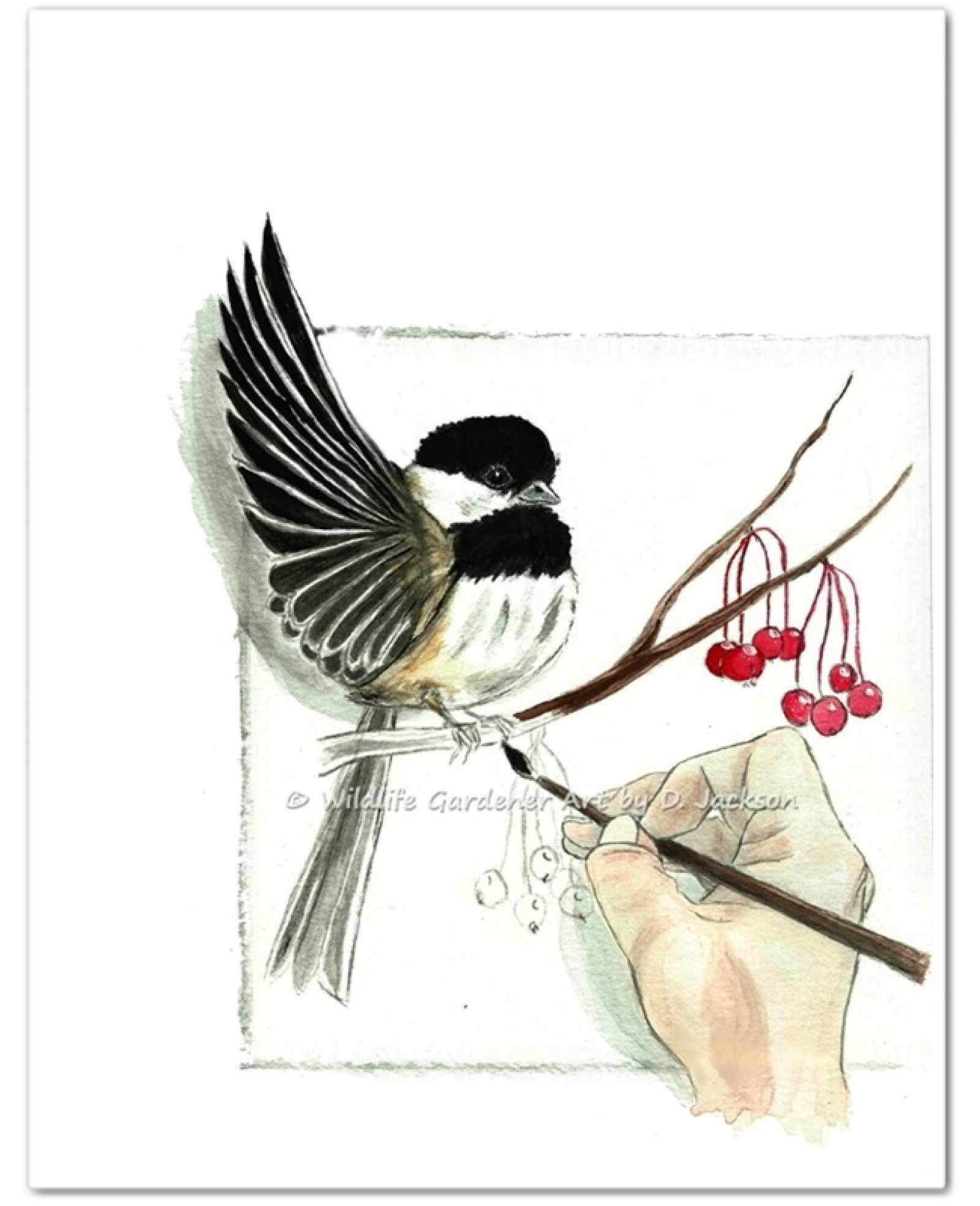 1600x1969 Painting A Chickadee, Watercolor Art Print Wildlife Gardener Art