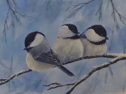 480x360 Winter Chickadees Part 2 Painting The Chickadee Details