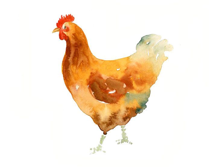 693x553 Hen By Dimdi Original Watercolor Painting 10x8inchxxxxall The