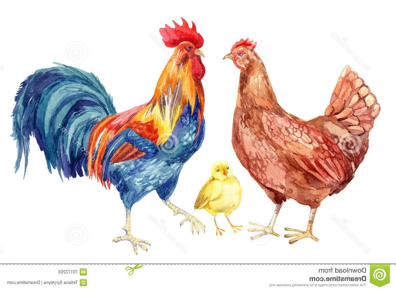 1300x957 Paintings Of Hens And Roosters Chicken, Hen, Rooster, Egg