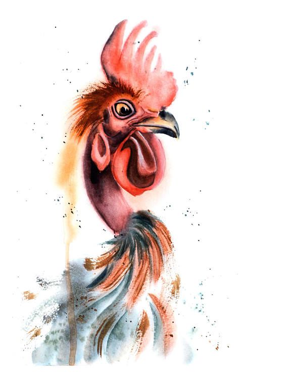 570x758 Print Chicken Watercolor Painting Rooster Watercolour Art